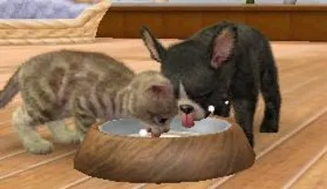 Nintendogs   Cats Golden Retriever & New Friends (Usa) screen shot game playing